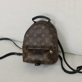 Louis Vuitton Monogram Mini Palm Springs Backpack