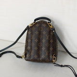 Louis Vuitton Monogram Mini Palm Springs Backpack