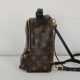 Louis Vuitton Monogram Mini Palm Springs Backpack