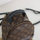 Louis Vuitton Monogram Mini Palm Springs Backpack