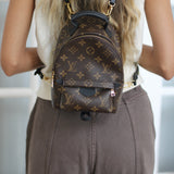Louis Vuitton Monogram Mini Palm Springs Backpack