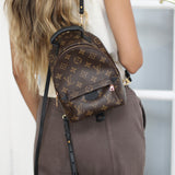 Louis Vuitton Monogram Mini Palm Springs Backpack